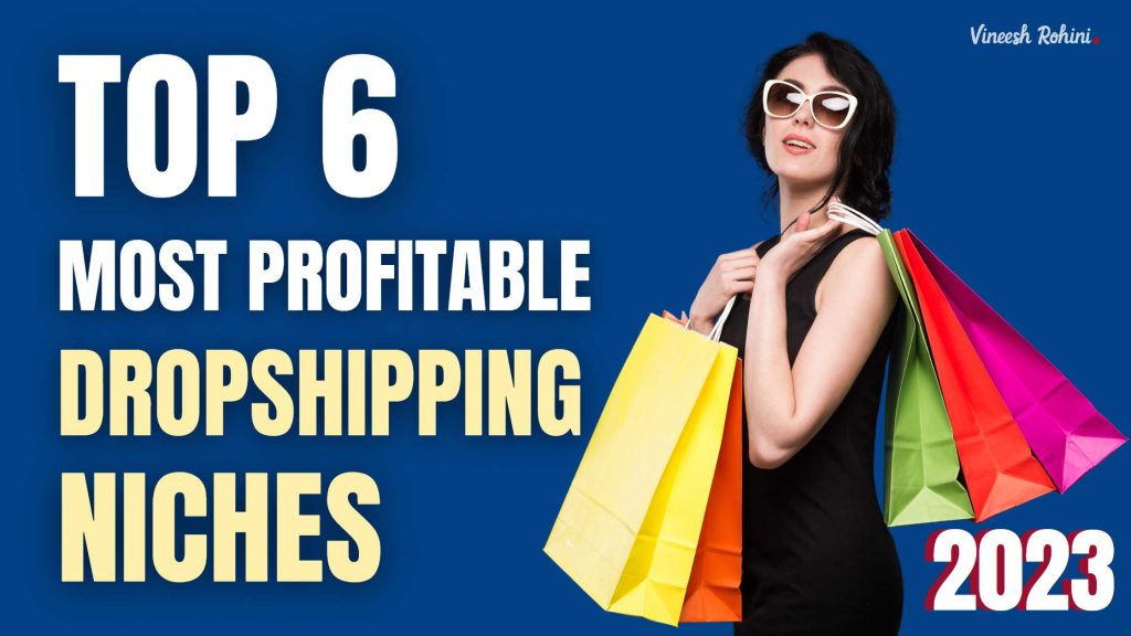 Top 6 Most Profitable Dropshipping Niches to Start - 2023 - Vineesh Rohini