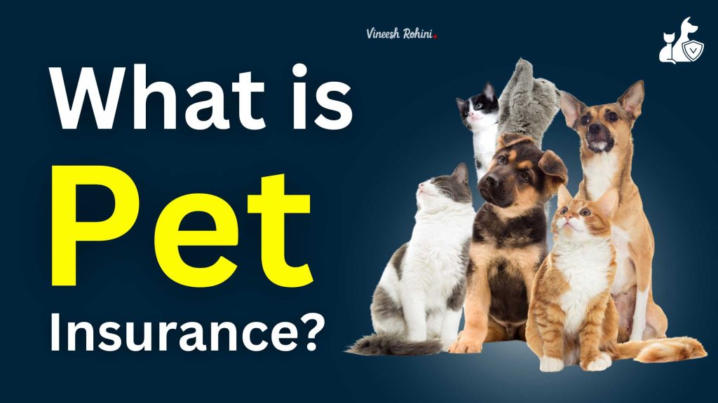 what-is-pet-insurance-a-comprehensive-guide-for-pet-owners-in-india