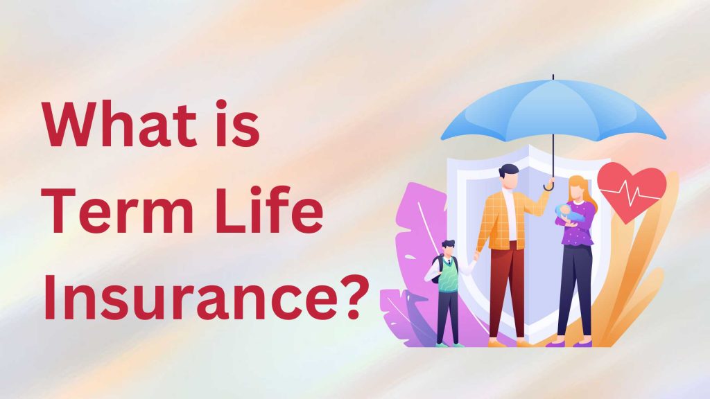 What is Term Life Insurance? : Safeguarding Financial Futures- Vineesh ...