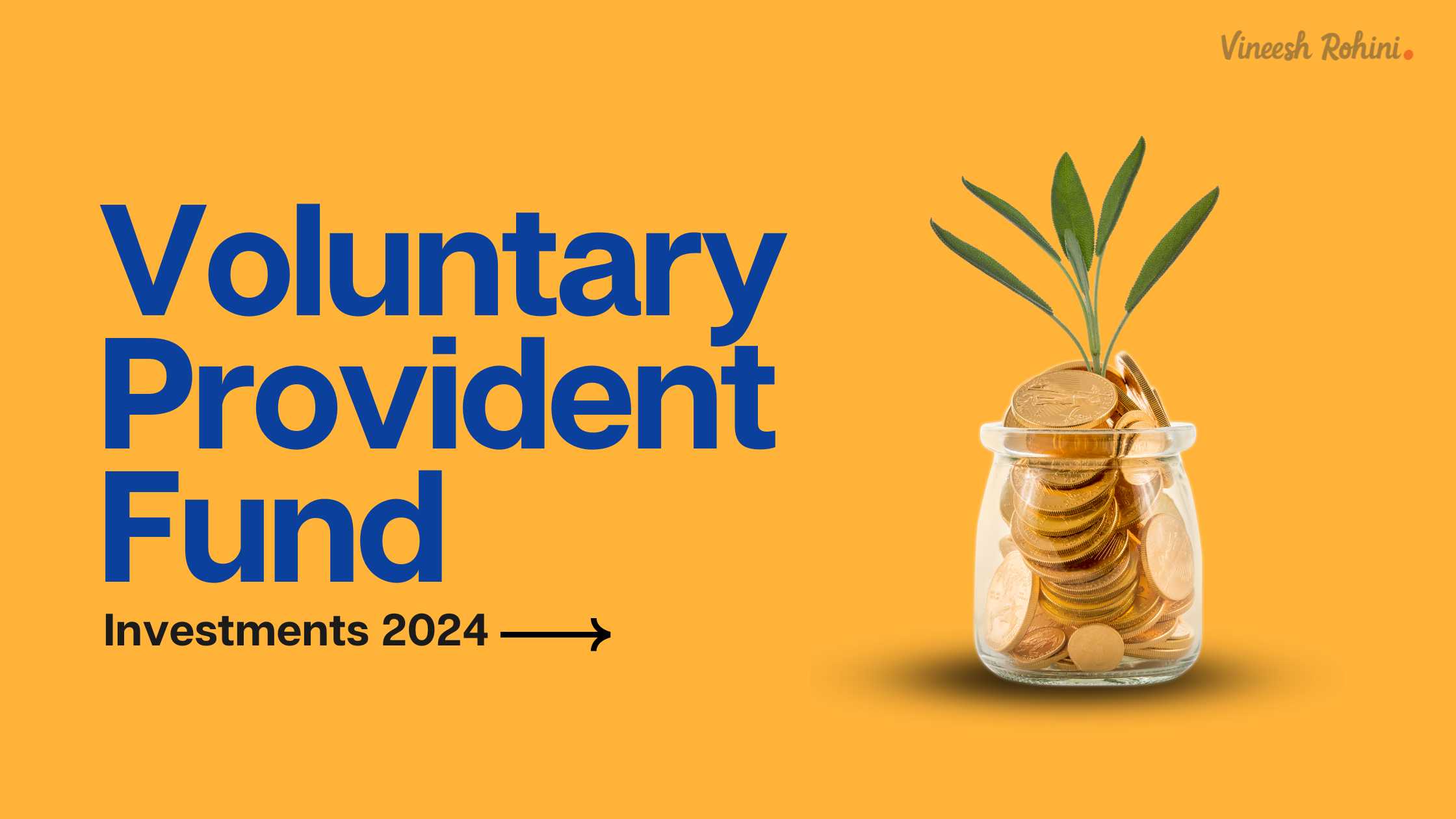 Voluntary Provident Fund