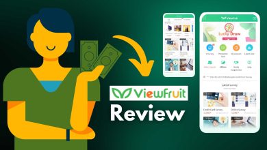 Viewfruit Survey Site Review