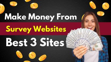 Make Money from Survey Websites