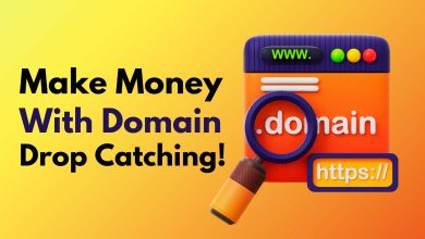 Make Money With Domain Drop Catching