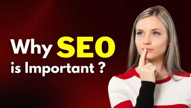 Why SEO is Important