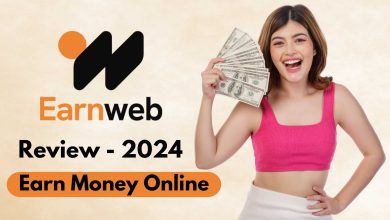 Earnweb Review