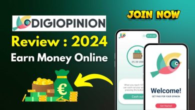 Digiopinion Review