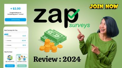 Zap Surveys Review