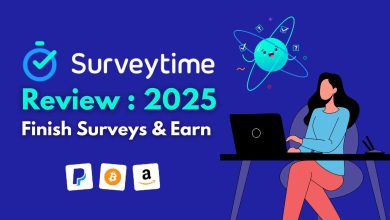 Surveytime Review