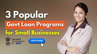 Government Loan Programs