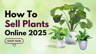 How To Sell Plants Online