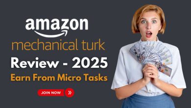 Amazon Mechanical Turk Review