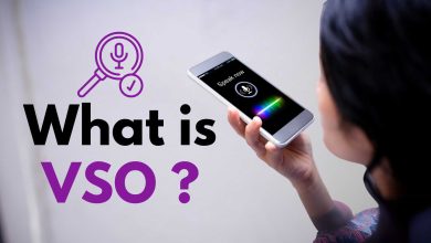 What is VSO - What is VSO 2025