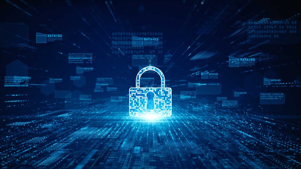 Data Privacy and Security