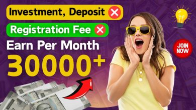 Volt money partner program