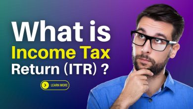 What is Income Tax Return