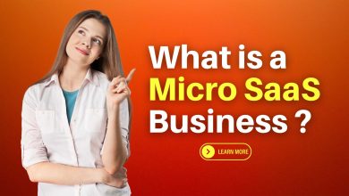 What is a Micro SaaS Business