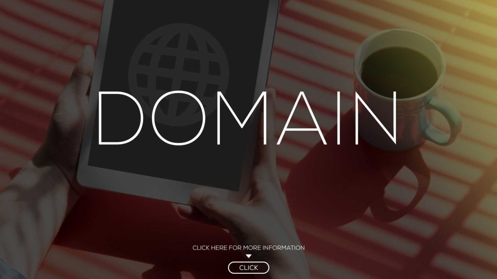 Domain Flipping Business