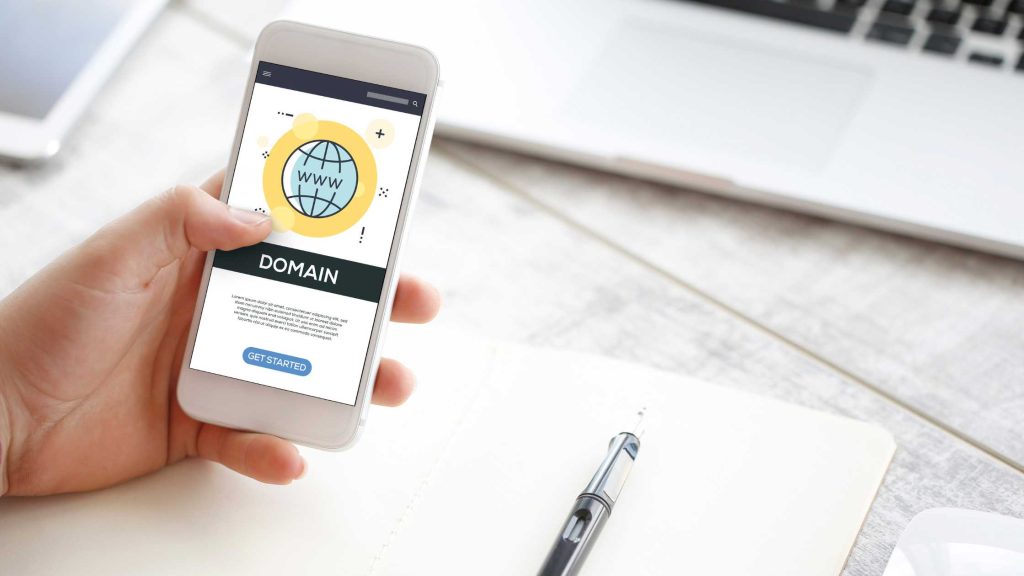 Domain Flipping Business