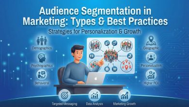 Audience Segmentation