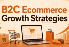 B2C Ecommerce Growth Strategies