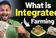 What is Integrated Farming
