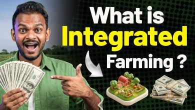 What is Integrated Farming