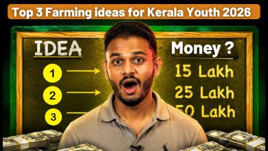 Top 3 Farming Ideas