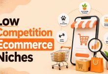Low Competition Ecommerce Niches